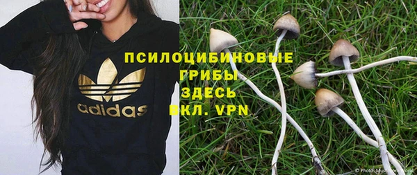 сатива Алексеевка