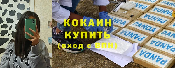 прущие грибы Абинск
