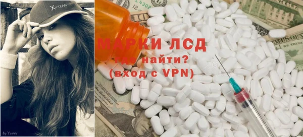 прущие грибы Абинск