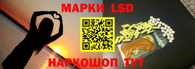 Альфа ПВП Краснознаменск
