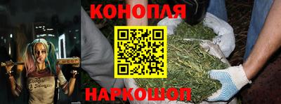 Альфа ПВП Краснознаменск