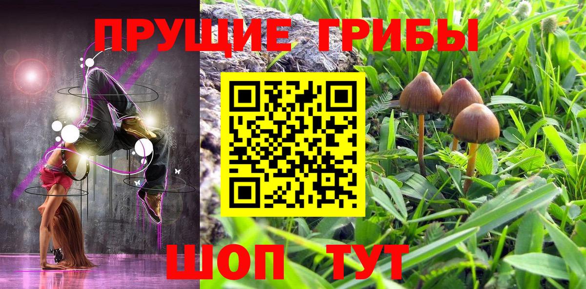наркошоп  Вход с VPN  Керчь  Псилоцибиновые грибы Cubensis  Галлюциногенные грибы GOLDEN TEACHER 
